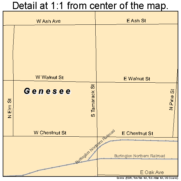 Genesee, Idaho road map detail