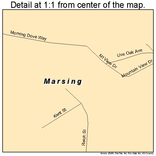 Marsing, Idaho road map detail