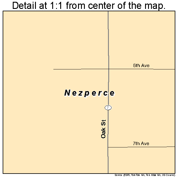 Nezperce, Idaho road map detail