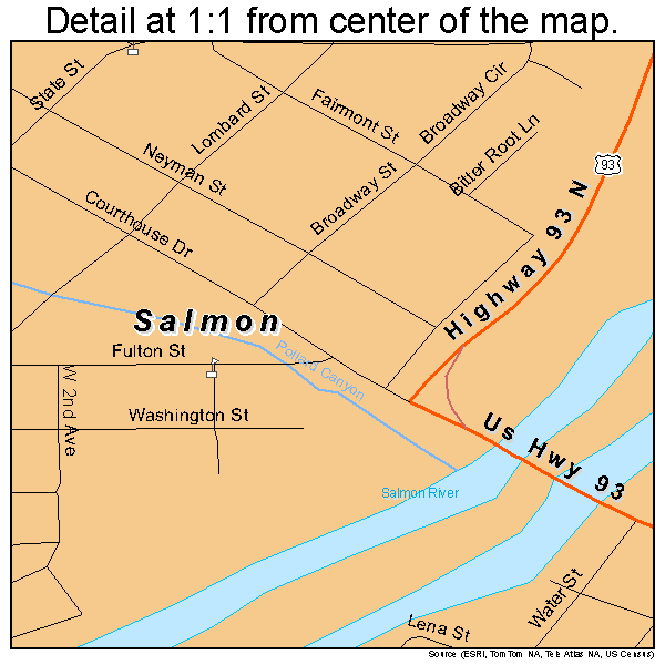 Salmon, Idaho road map detail