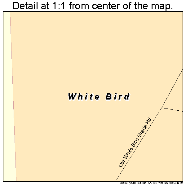 White Bird, Idaho road map detail