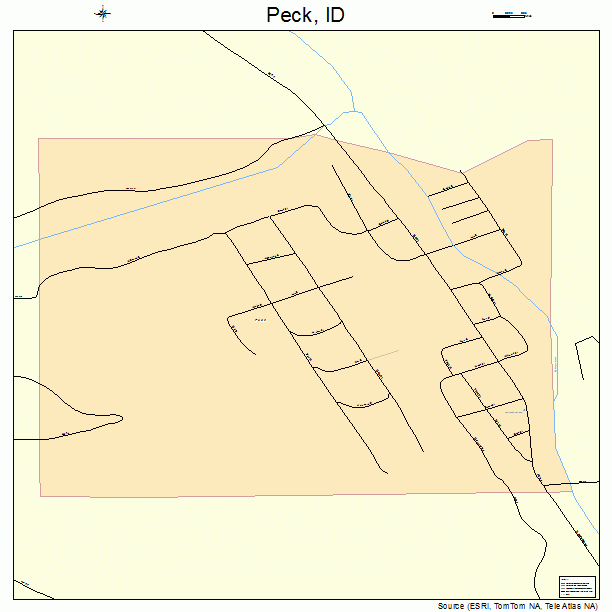 Peck, ID street map