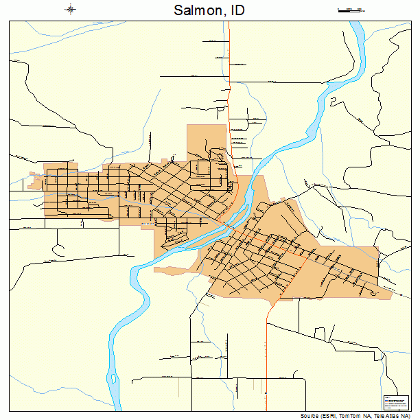 Salmon, ID street map