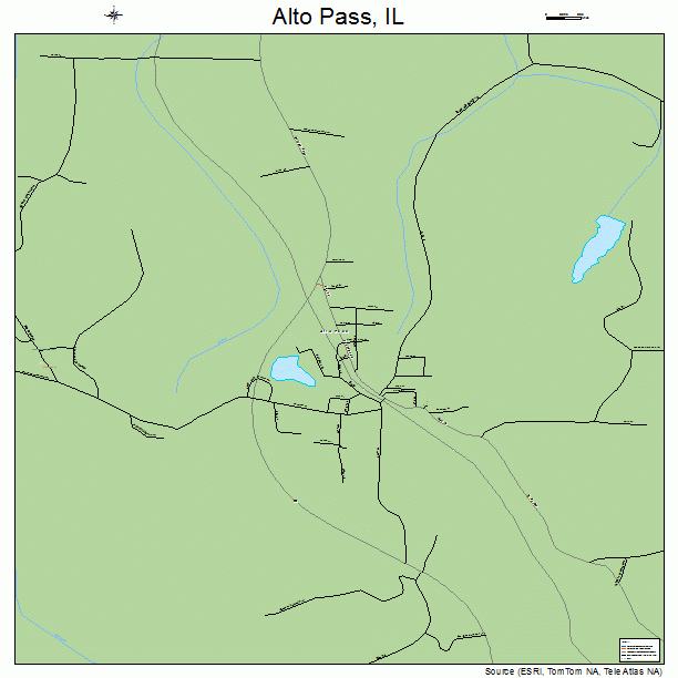 Alto Pass, IL street map