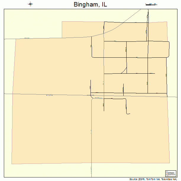 Bingham, IL street map