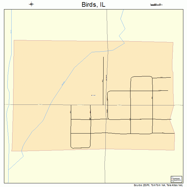 Birds, IL street map