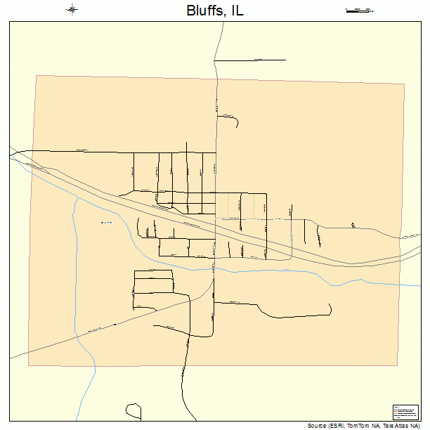 Bluffs, IL street map
