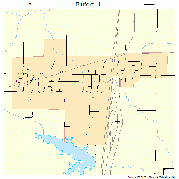 Bluford, IL street map