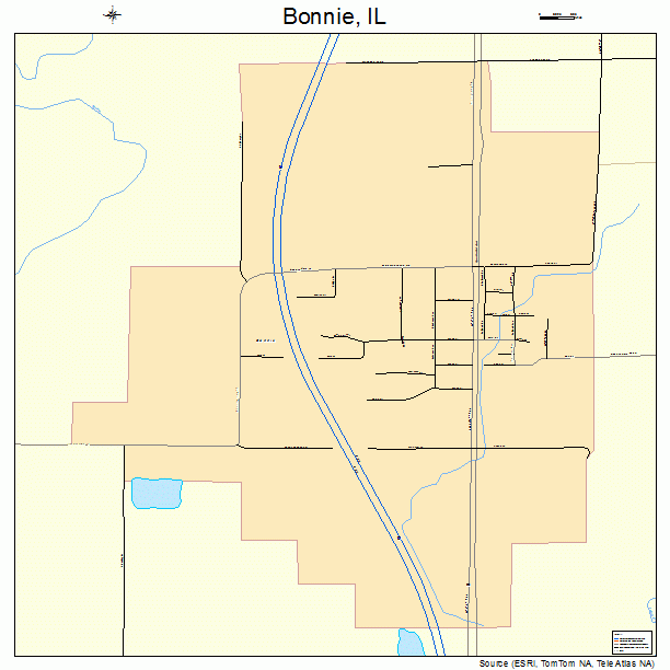 Bonnie, IL street map