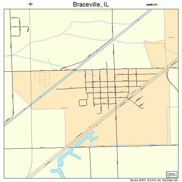 Braceville, IL street map