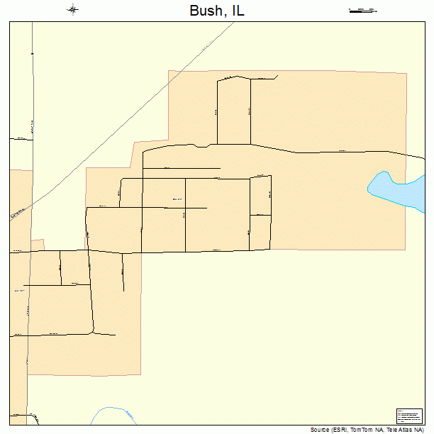 Bush, IL street map
