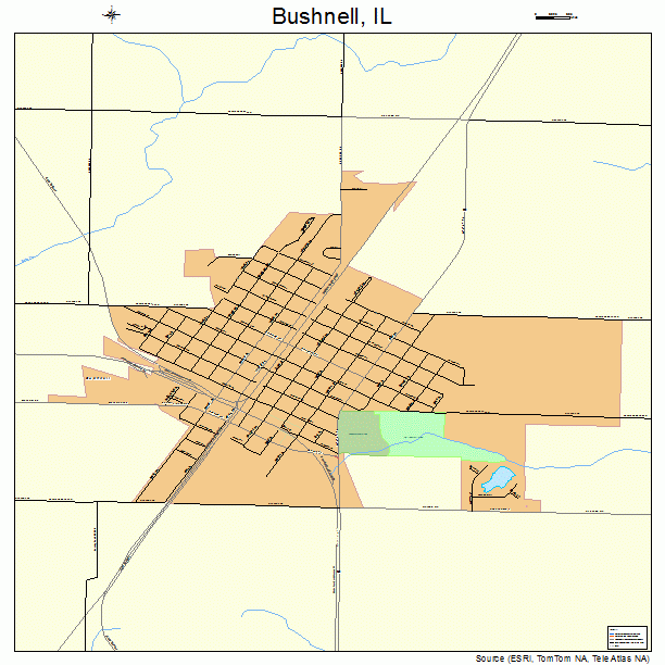 Bushnell, IL street map