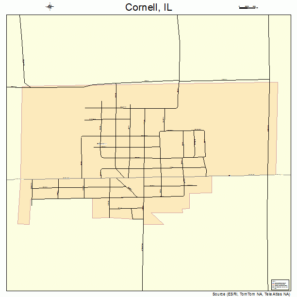 Cornell, IL street map