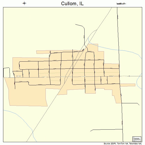 Cullom, IL street map