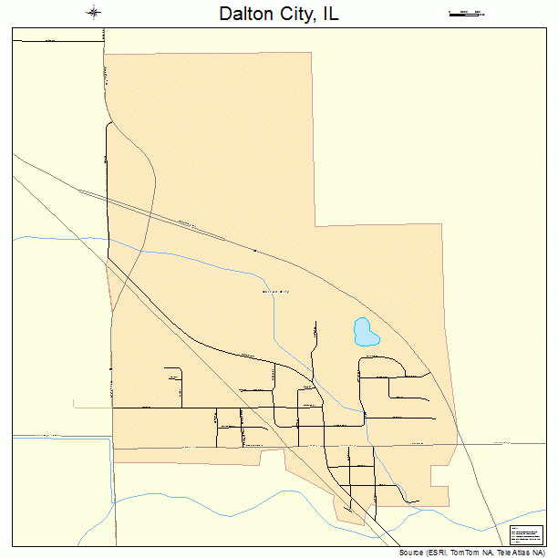 Dalton City, IL street map