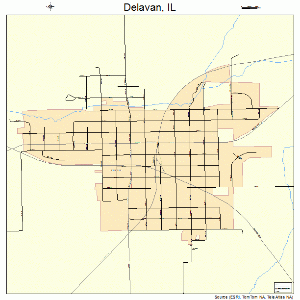 Delavan, IL street map