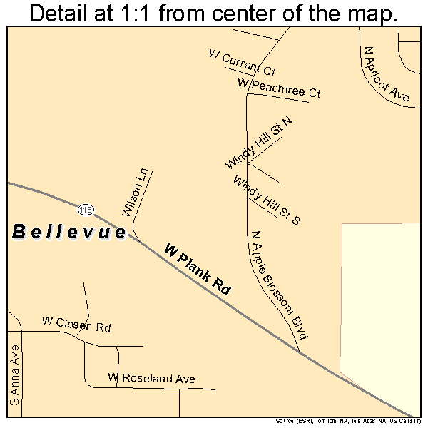 Bellevue, Illinois road map detail