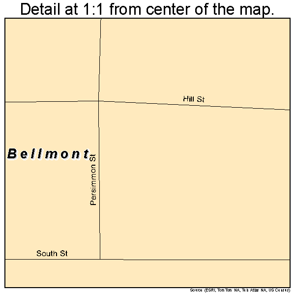 Bellmont, Illinois road map detail