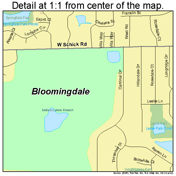 Bloomingdale, Illinois road map detail