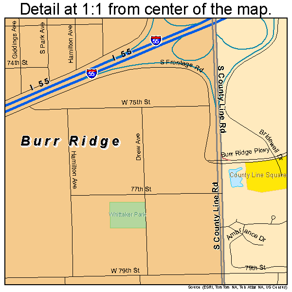 Burr Ridge, Illinois road map detail