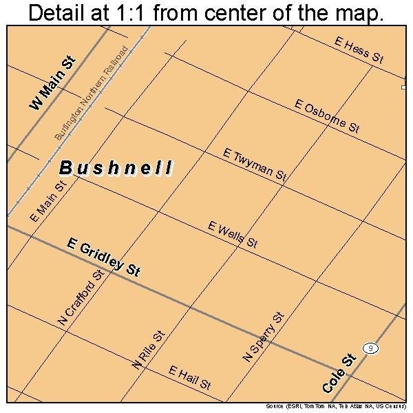 Bushnell, Illinois road map detail