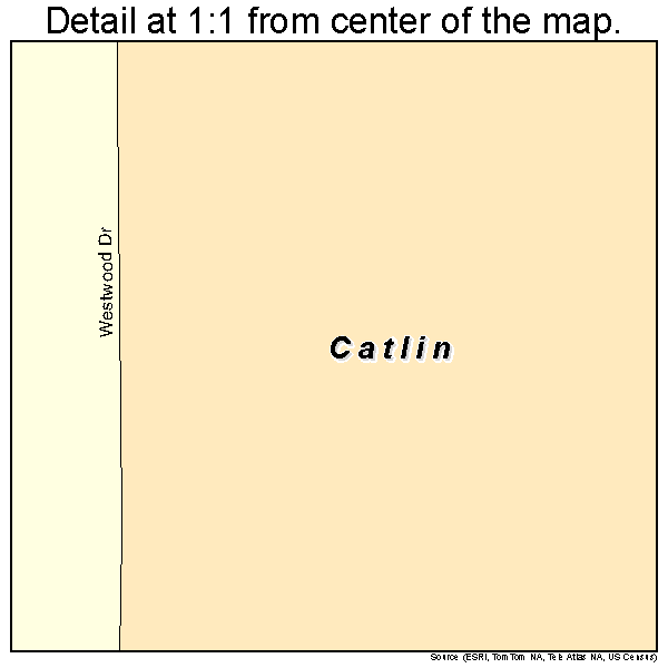 Catlin, Illinois road map detail