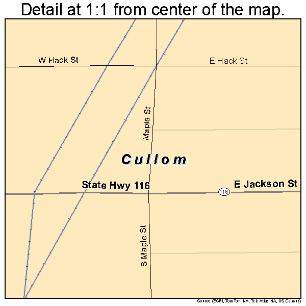 Cullom, Illinois road map detail