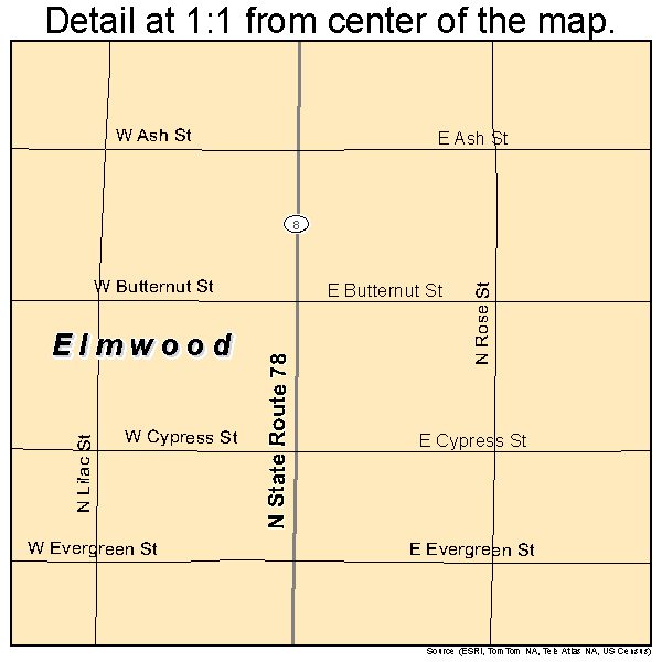 Elmwood, Illinois road map detail