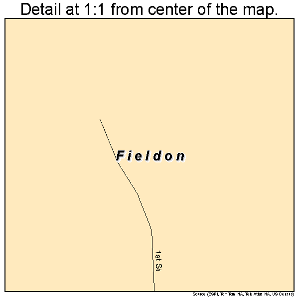 Fieldon, Illinois road map detail