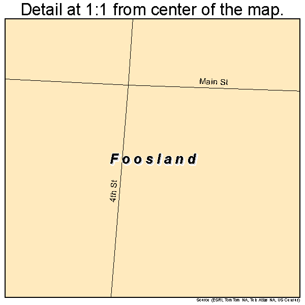 Foosland, Illinois road map detail