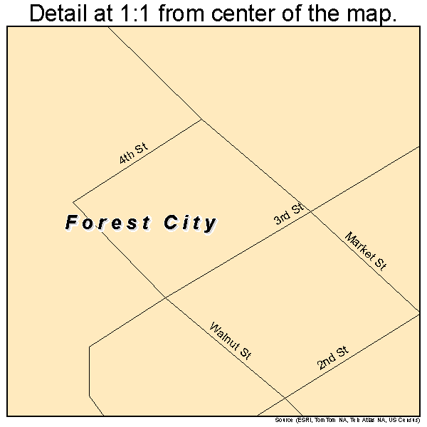 Forest City, Illinois road map detail