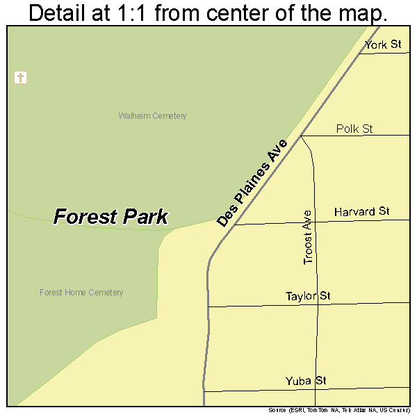 Forest Park, Illinois road map detail