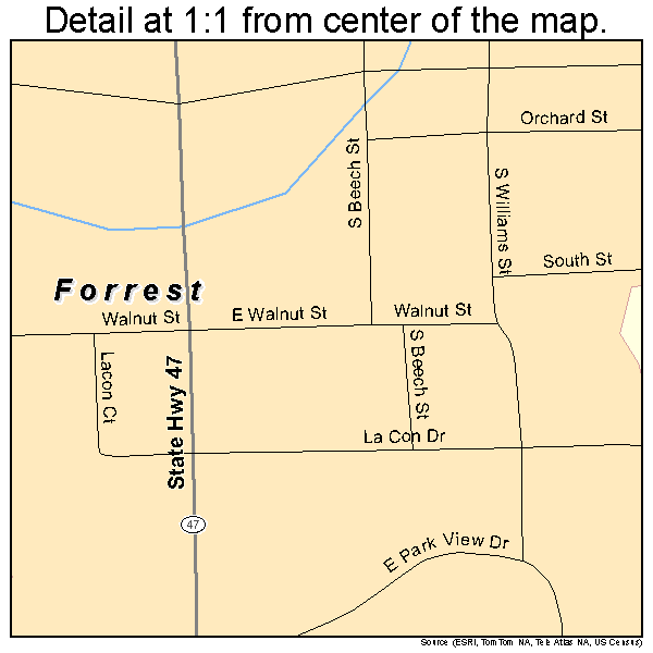 Forrest, Illinois road map detail