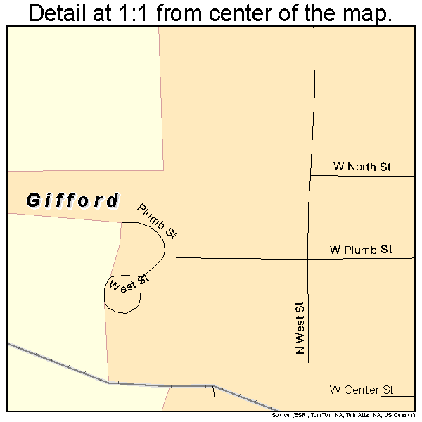Gifford, Illinois road map detail