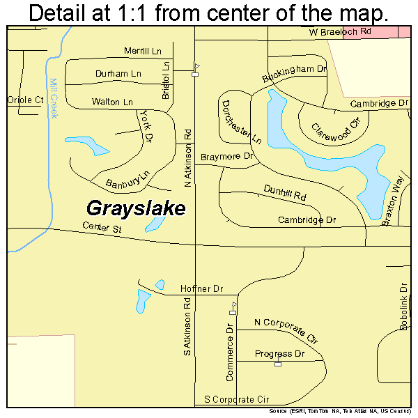 Grayslake, Illinois road map detail