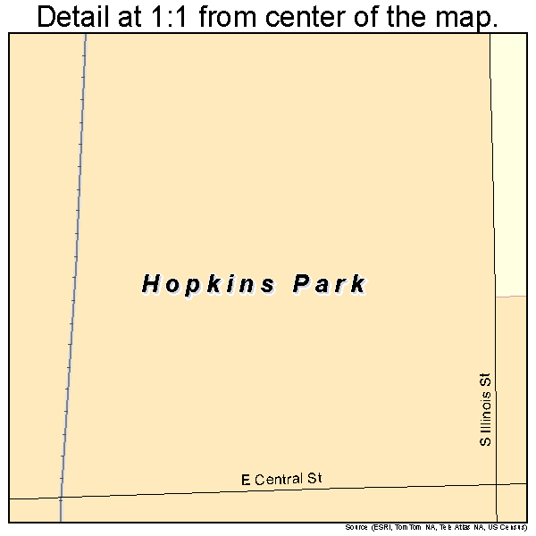 Hopkins Park, Illinois road map detail