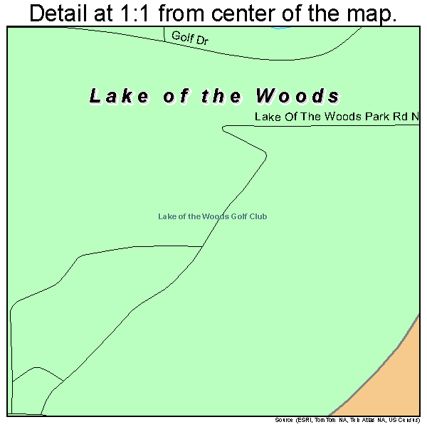 Lake of the Woods, Illinois road map detail