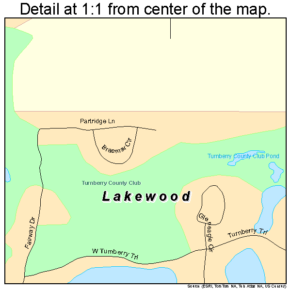Lakewood, Illinois road map detail