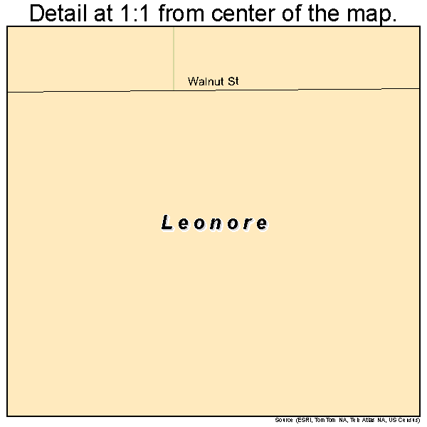 Leonore, Illinois road map detail