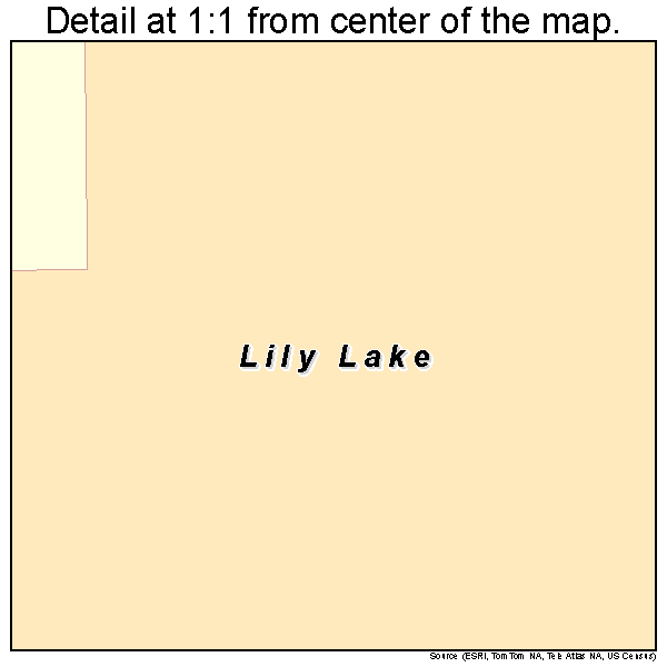 Lily Lake, Illinois road map detail