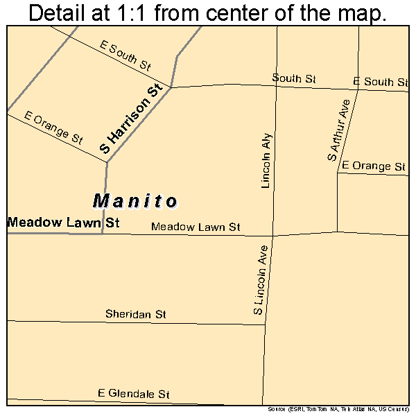 Manito, Illinois road map detail