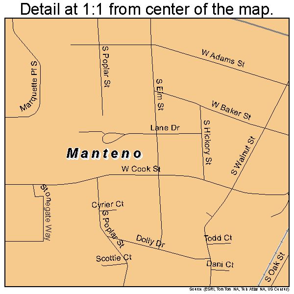 Manteno, Illinois road map detail