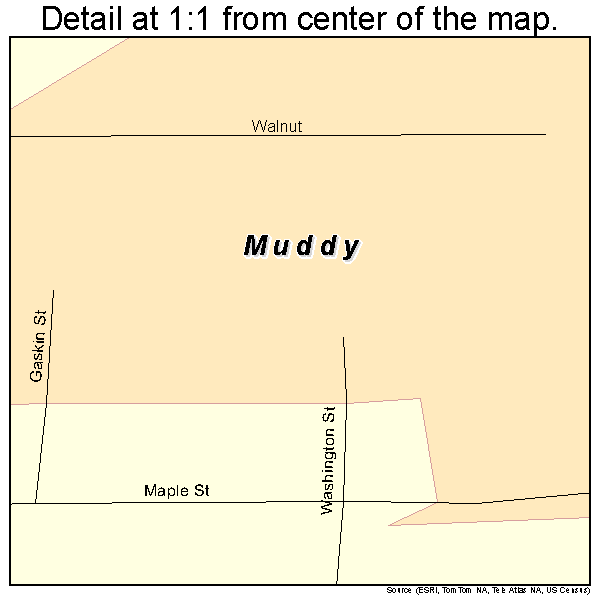 Muddy, Illinois road map detail