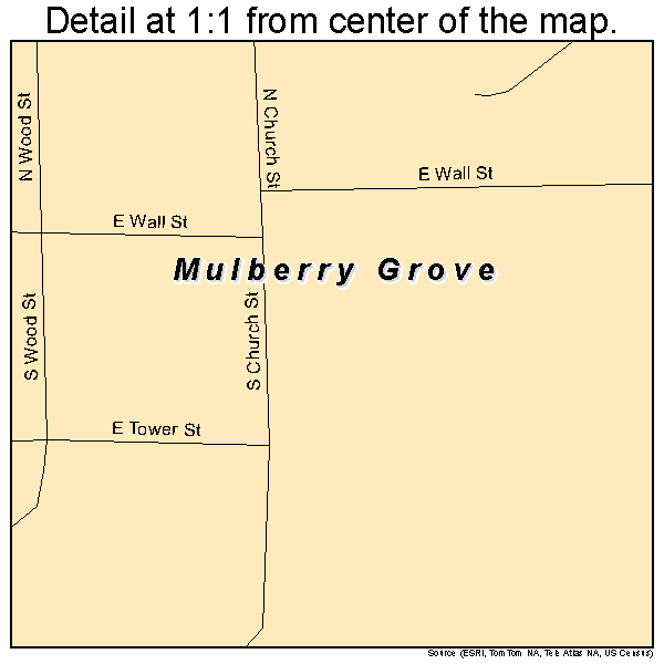 Mulberry Grove, Illinois road map detail