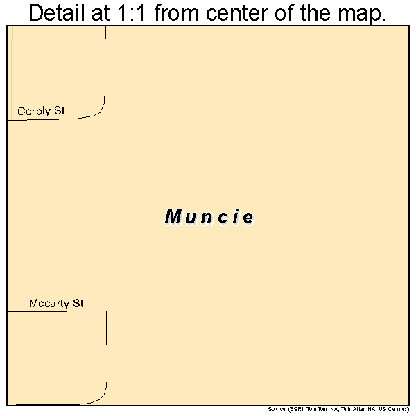 Muncie, Illinois road map detail