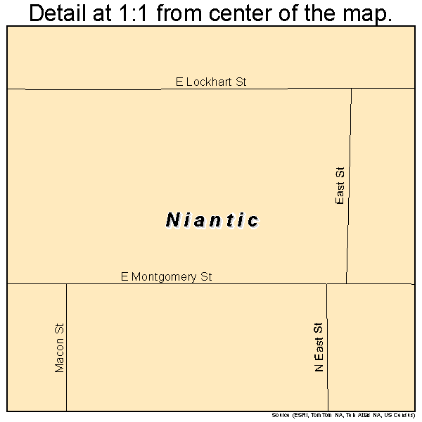 Niantic, Illinois road map detail