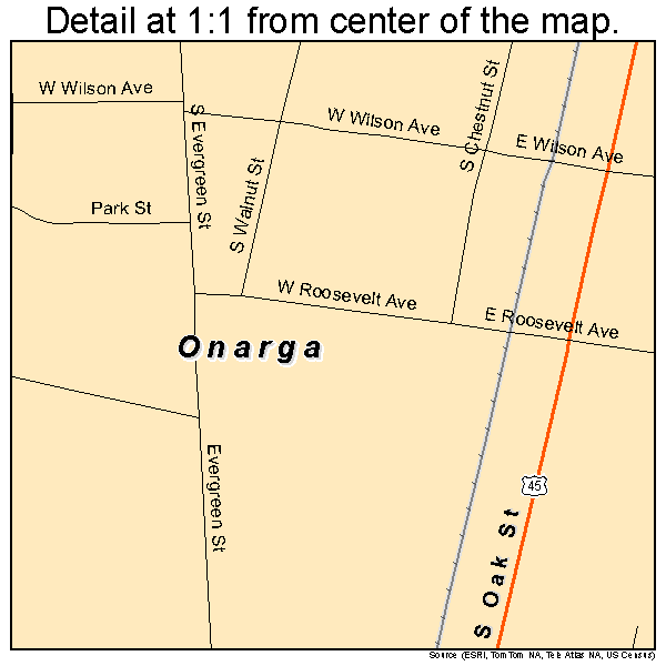 Onarga, Illinois road map detail