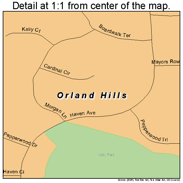 Orland Hills, Illinois road map detail