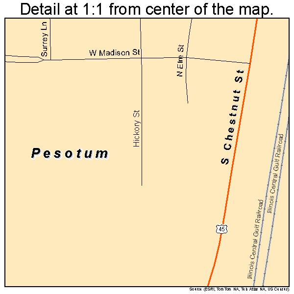 Pesotum, Illinois road map detail