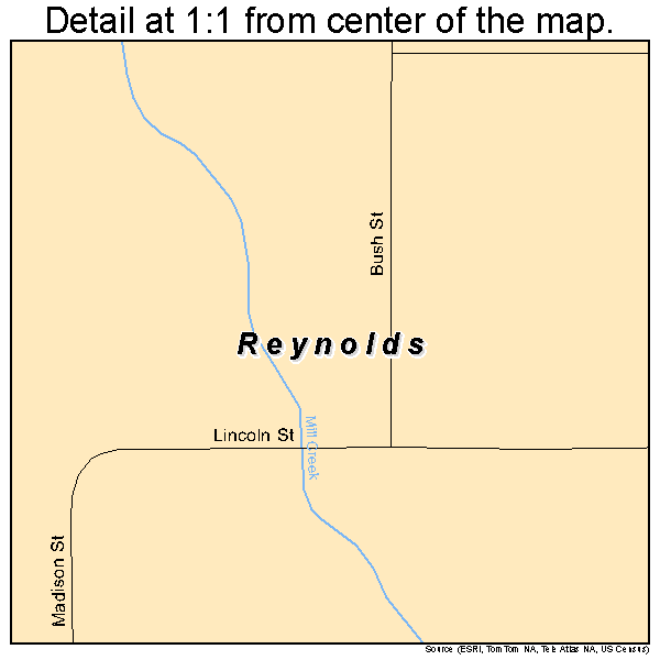 Reynolds, Illinois road map detail